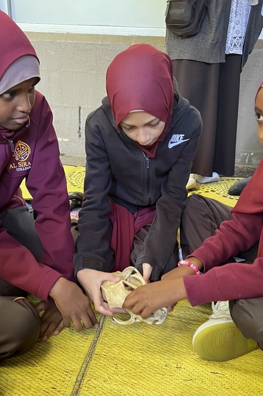 Year 5 Excursion to Melbourne Zoo